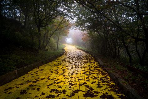Photos Show Remnants Of Creepy Abandoned Wizard Of Oz Theme Park In