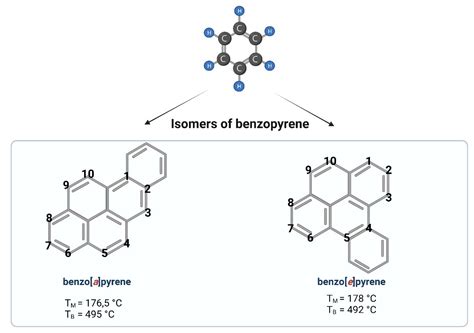 Benzo A Pyrene Encyclopedia Mdpi