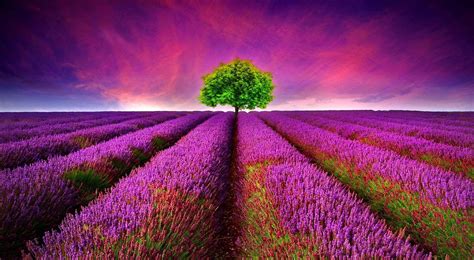 Most Beautiful Nature Wallpapers In The World