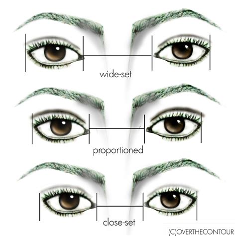 discover your eye shape for your perfect eyemakeup eye shape makeup wide set eyes eye makeup