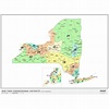New York 2022 Congressional Districts Wall Map by MapShop - The Map Shop