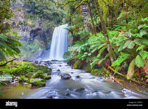Hopetoun Falls In Otway Ranges National Park Victoria Australia Stock