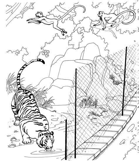 He'll have a blast sprucing up this charming tiger. Free Tiger Coloring Pages