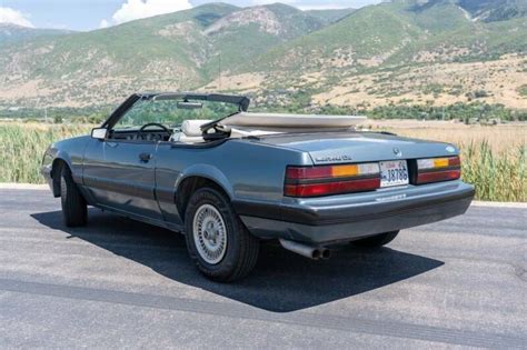 Gray Mustang Rear Barn Finds