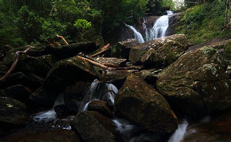 Rain Forest Trips In Sri Lanka Rain Forest Tours In Sinharaja Rain