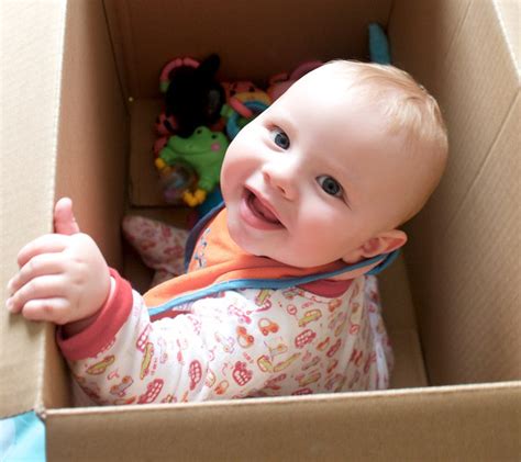Why Do Finnish Babies Sleep In Cardboard Boxes Take Off