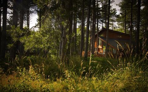 Woodland Lodges Uk Best Secluded Cabins In The Woods Cool Places