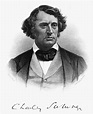 Charles Sumner (1811-1874) Photograph by Granger