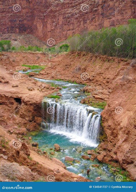 Little Navajo Falls In Havasu Canyon Stock Image Image Of Arizona
