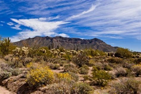 Hike To The Top At Usery Mountain Regional Park Visit Mesa