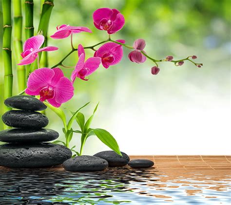 Relaxing Spa Bamboo Flower Reflection Relax Spa Stones Water