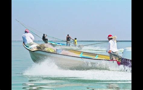 Sonora Y Sinaloa Lideran La Producción Y El Valor En Pesca El Informador