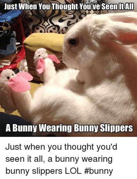 Just When You Thought Youve Seen Itall A Bunny Wearing Bunny Slippers