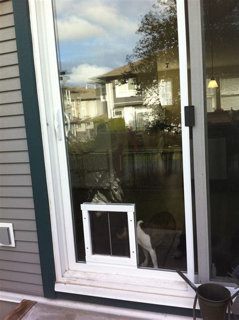A sash window pet door installation is a more preferred method if you are not as handy or on a limited budget. Installations And Pics | Dog Doors, Cat Doors, Pet Doors ...