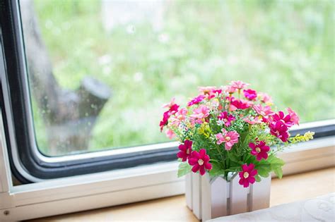Online Crop Hd Wallpaper Flowers On Window Pink Pot Window Sill