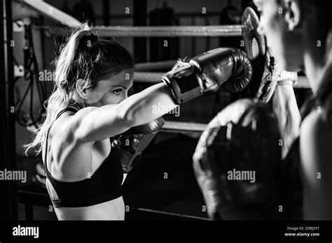 Women On Boxing Training Stock Photo Alamy