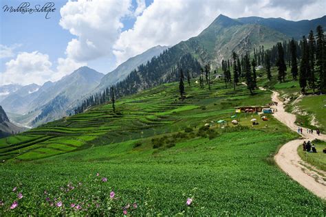 The Beauty Of Pakistan Lalazar Kashmir I Took This Photo Flickr
