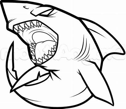 Shark Drawing Simple Drawings Cool Easy Draw