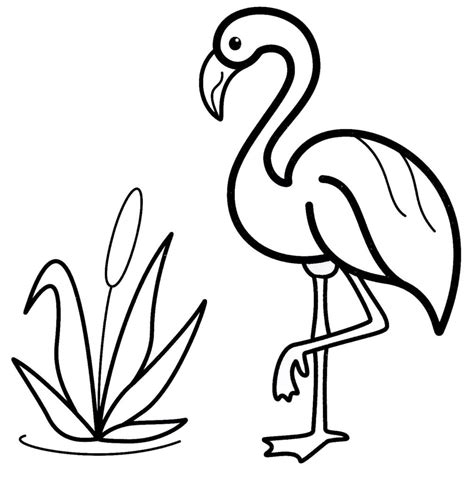 Flamingo Printable Coloring Pages