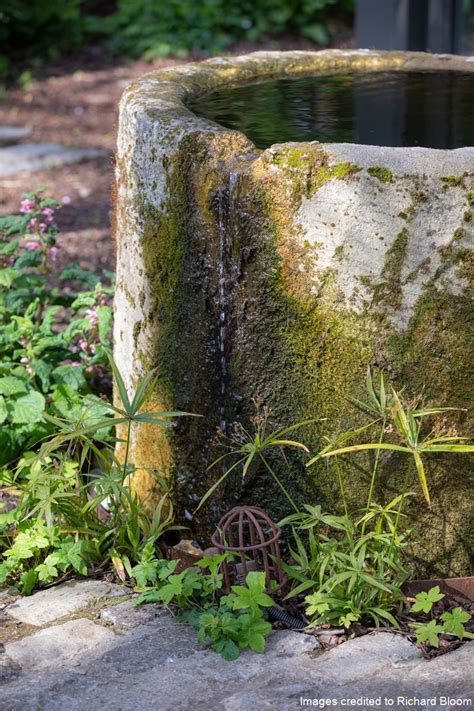 Artists Garden Jane Brockbank