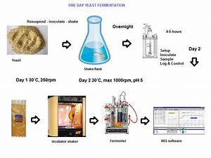 The Life Times Of Mr Bioreactor Overview Of Our Experiment