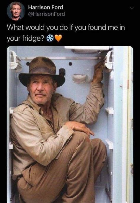Indiana Jones Memes For The Adventurer In All Of Us Indiana Jones