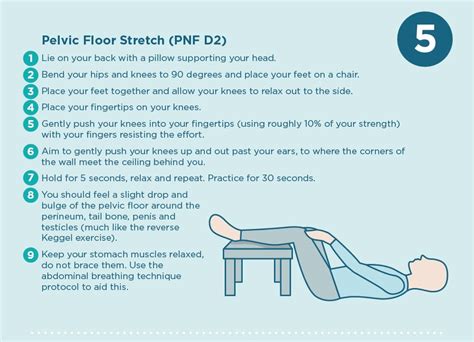 pelvic floor exercises handout