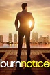 Burn Notice (TV Series 2007-2013) - Posters — The Movie Database (TMDB)