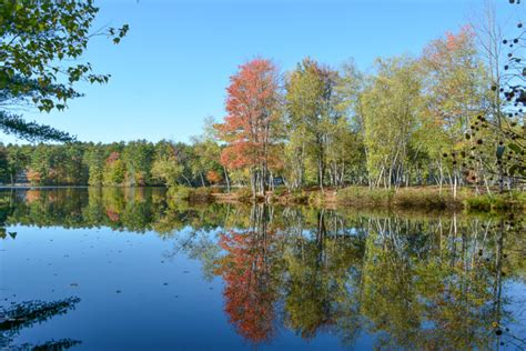 Belleau Lake Nh Acton Wakefield Watersheds Alliance About Belleau