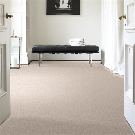Shaw Wide Width Perkinson Iv 15 Ft Quartz Textured Interior Carpet At