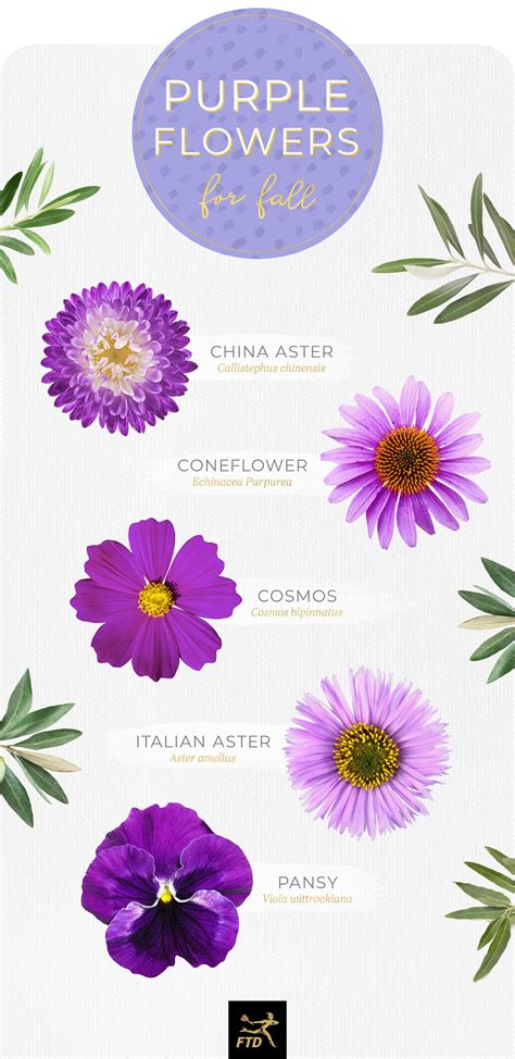 Purple Flowers Names And Photos Baju Cewek