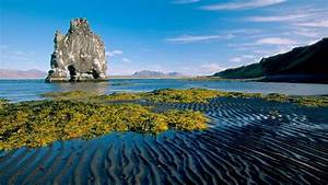 Iceland, Nature, Sea, Coast, Sea, Beach, Indication, Greener