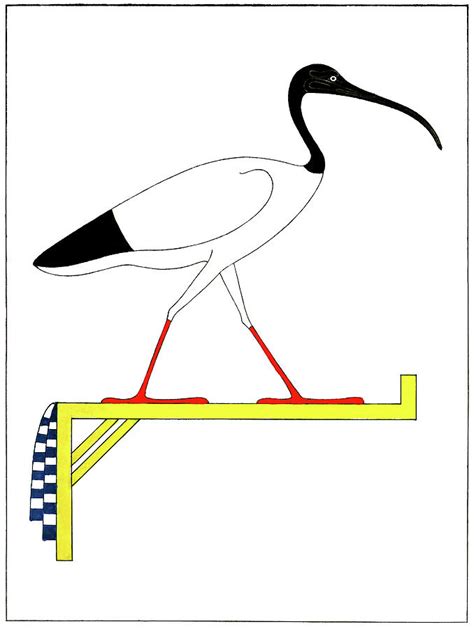 Egypt Ibis Symbol Of The Ancient Egyptian God Thoth 1823 Drawing By