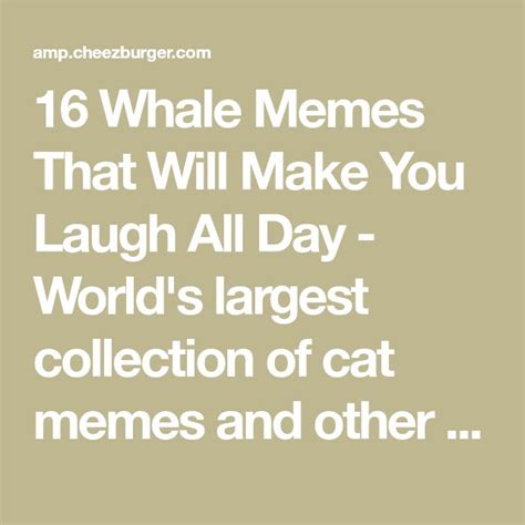 16 Whale Memes That Will Make You Laugh All Day Laugh Memes Make It