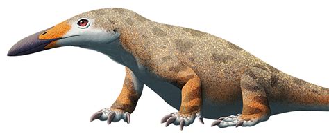 Teraterpeton An Unusual Archosauromorph From The Late Triassic Of Nova