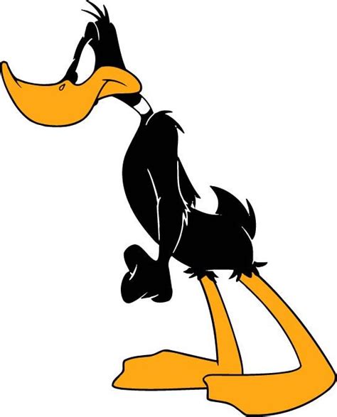 Daffy Duck Carton Dibujos Animados