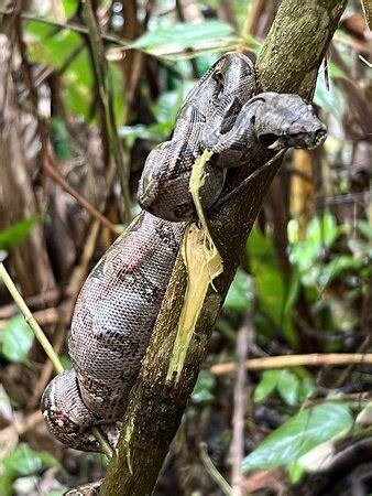 Costa Rica Xploring Tours Gulf Of Papagayo All You Need To Know