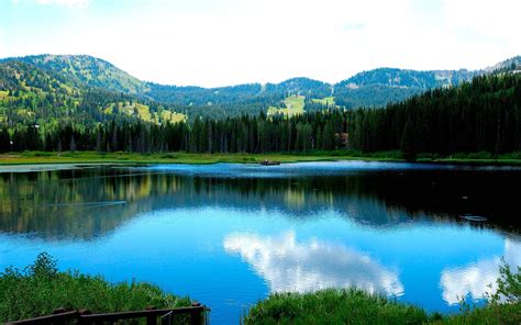 Sfondi Alberi Paesaggio Foresta Montagne Lago Riflessione Erba