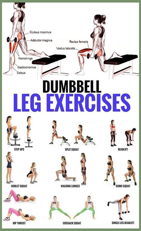 What Are Good Leg Workouts To Do At Home Home And Garden Reference