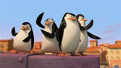 Madagascar Penguins Desktop Private Rico Skipper Resolution