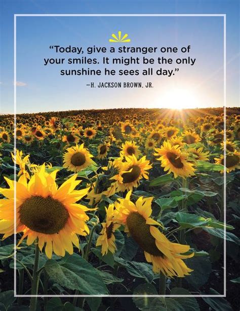 44 Greatest Sunshine Quotes Everyday Inspiration About Sunshine