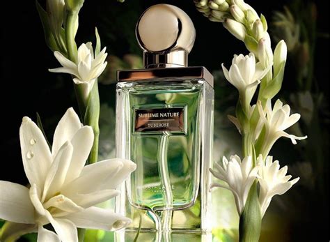 Sering Jadi Parfum Berkelas Ini 5 Fakta Menarik Bunga Sedap Malam