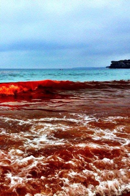 Red Tide At Bondi Beach Australia According To The