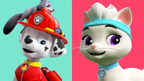Leo And Rory Cat Pack Rescues Paw Patrol Cartoons For Kids Youtube