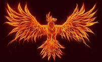 Symbolic Meaning of the Phoenix on Whats-Your-Sign