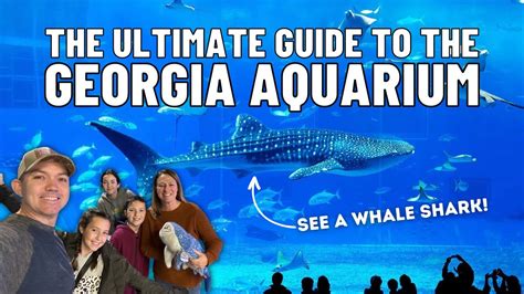 The Ultimate Guide To The Georgia Aquarium In Atlanta Youtube