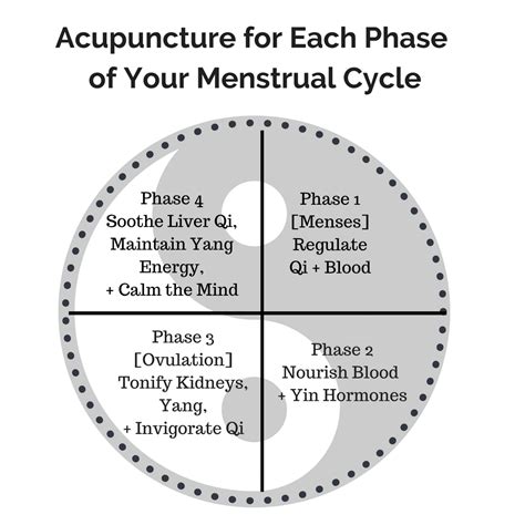 Acupuncture For Each Phase Of Your Menstrual Cycle Acupuncture Victoria Bc Inner Pass