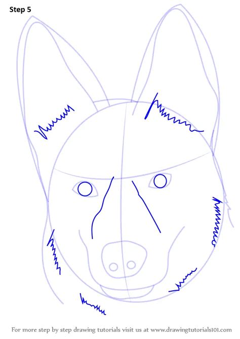 Step By Step How To Draw German Shepherd Dog Face