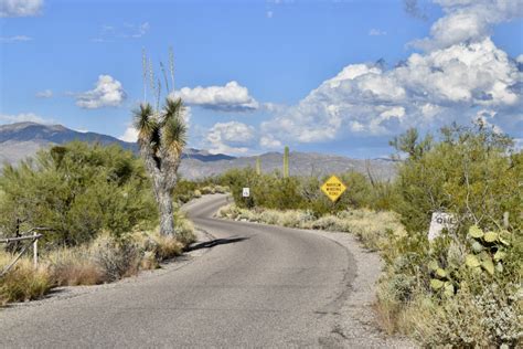 Sabino Canyon Recreation Area Roads Bridges And Dams Tucson Az