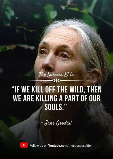 Top 40 Jane Goodall Inspiring Quotes To Cherish Nature